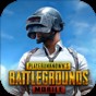 pubg国际服官方正版下载入口