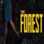 the forest 联机存档
