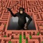 3d迷宫攻略