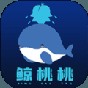 东方魔导录最新版汉化破解版下载