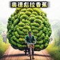 恐怖老奶奶一命通关